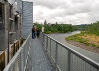 Tigard, Lake Oswego celebrate water system milestone