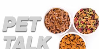 Pet Talk: My Cat Won’t Eat! Feeding a picky eater