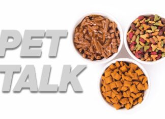 Pet Talk: My Cat Won’t Eat! Feeding a picky eater