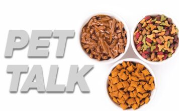 Pet Talk: My Cat Won’t Eat! Feeding a picky eater