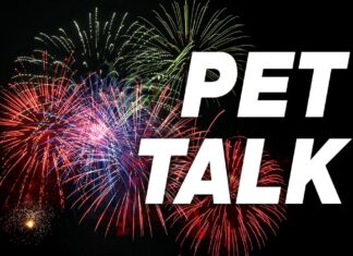 Make sure 4th-of-Julys go safely and smoothly Pet Tal