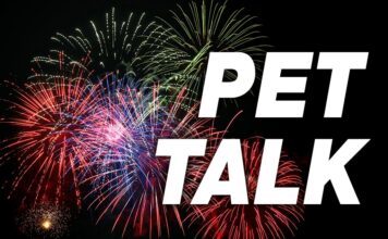 Make sure 4th-of-Julys go safely and smoothly Pet Tal