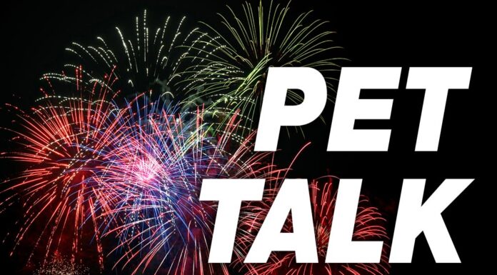 Make sure 4th-of-Julys go safely and smoothly Pet Tal
