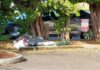 A homeless person sleeps in a downtown Tigard parking lot.