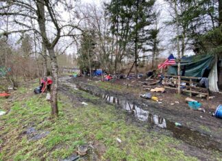 Encampments program will either help or remove homeless camps Homeless Encampment