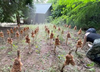 The Relentless Drive of Filmmaker Edward Martin III Setting up the final touches for a recent horror movie called “Seeds,” filmed during the Portland Horror Film Festival.