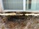 Tigard Affordable Housing Properties Approved for Rehab Work This is just one example of mold and water damage found at The Ridge at Bull Mountain Apartments.