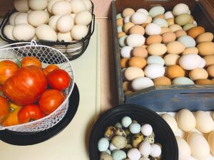 These baskets contain homegrown tomatoes and a mixtures of duck, chicken and quail eggs.
