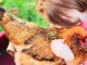 Backyard chicken proponent says urban farmers need more education, not additional regulation Six-year-old Nathaniel Sprague snuggles with Jalapeño, a chicken he named. Nathaniel, the youngest of Elizabeth and Mike Sprague’s five sons, has autism. Spending time with the family’s animals helps the boy with sensory regulation, his mother said.