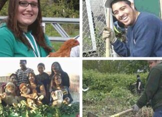 Tigard High School (CE)2 Celebrates 50 Years of Success