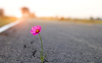 The Next Chapter: Peri-menopause and Beyond, Part I