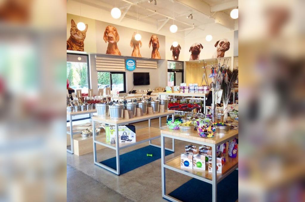Emerging Trends in Pet Stores: Shaping the Future of Pet Retail