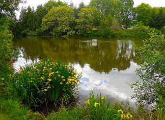 Parks, Trails, and Recreation Summerlake Park Features Something for Everyone