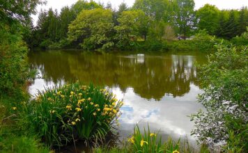 Parks, Trails, and Recreation Summerlake Park Features Something for Everyone
