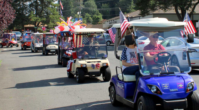 Fun in the sun at King City Fourth of July Parade