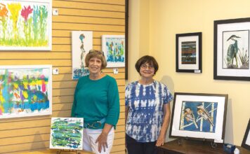 ‘Two Jans’ showcase their art at local gallery