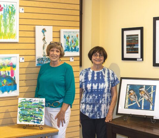 ‘Two Jans’ showcase their art at local gallery