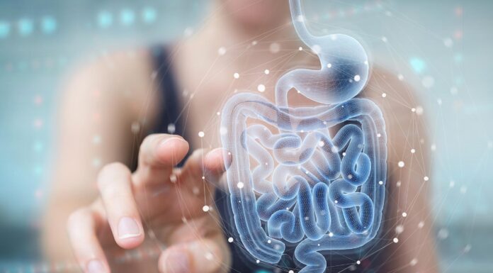 Healthy Gut, Healthy Life