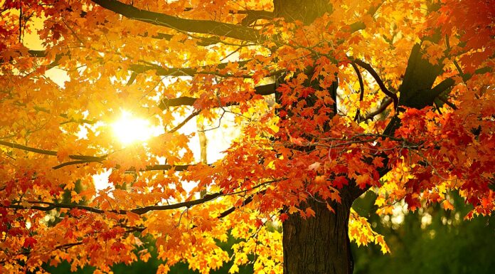 New Season, New Inspiration