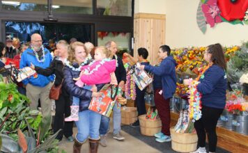Trader Joe’s opens new store in Tigard Hundreds of customers streamed into the Tigard Trader Joe's after the doors opened Oct. 28