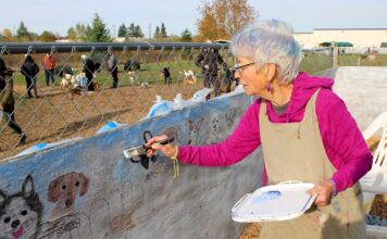Artistic Dog-Owners Transform Potso into an Art Gallery featuring beloved Pups