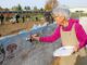 Artistic Dog-Owners Transform Potso into an Art Gallery featuring beloved Pups