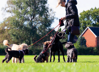 What is a Non-Qualifying Mortgage (Non-QM)?