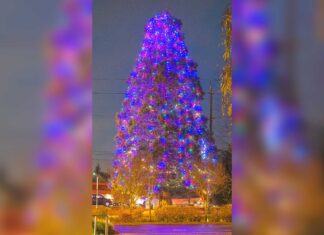 Downtown Tigard Tree Lighting set for Dec. 2