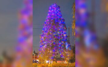 Downtown Tigard Tree Lighting set for Dec. 2