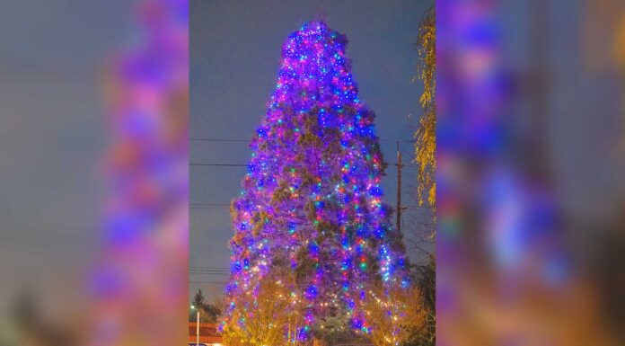 Downtown Tigard Tree Lighting set for Dec. 2