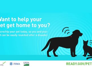 Emergency Preparedness: Pets