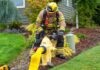 Fire hydrants should be clear of vegetation and debris within a three-foot radius.