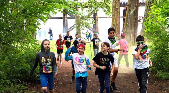 Mix It Up at the Blender Dash!