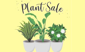 Plant Sale to be held at the King City Community Clubhouse Parking Lot