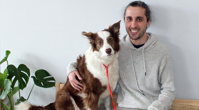 New state-of-the-art vet hospital opens in Tigard Dr. Saum Hadi shares a seat with his border collie Ralf in the waiting room of Nimbus Pet Hospital, which Hadi and his wife opened April 3 to many new four-legged patients coming in the door.
