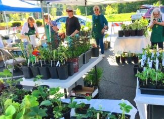 Tigard Garden Club’s Annual Plant Sale Returns