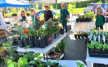 Tigard Garden Club’s Annual Plant Sale Returns