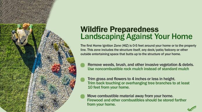 Emergency Preparedness: Wildfires