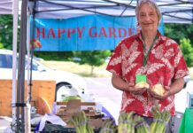 Happy Gardens Nursery – Todd Symes Happy Gardens’ Todd Symes holding a couple of large cauliflower mushrooms.