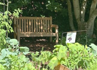 Rise Church to host Fall Festival The Rise Church community garden.