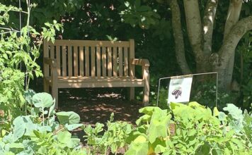 Rise Church to host Fall Festival The Rise Church community garden.