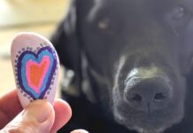 Mysterious canine respiratory disease spreading in Oregon, making national headlines