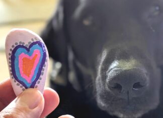 Mysterious canine respiratory disease spreading in Oregon, making national headlines