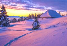 Rise Church Christmas Concert “a New and Glorious Morn”