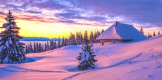 Rise Church Christmas Concert “a New and Glorious Morn”