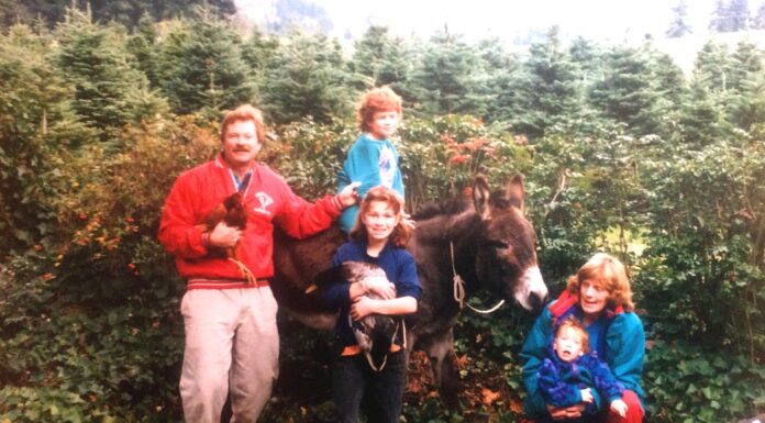Growing up on a Tualatin Christmas tree farm