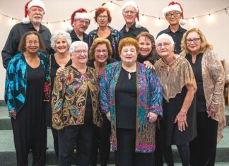 Northwest Senior Theatre Wants YOU!