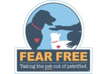 Embracing a Fear Free Future: Revolutionizing Veterinary Care for Pets