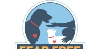 Embracing a Fear Free Future: Revolutionizing Veterinary Care for Pets