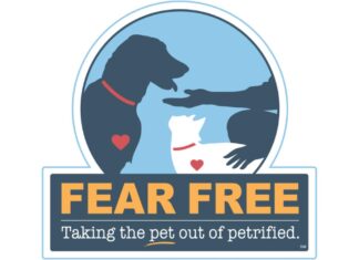 Embracing a Fear Free Future: Revolutionizing Veterinary Care for Pets